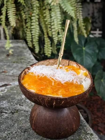 Creme de arroz com coulis de manga e coco ralado servido numa cumbuca de coco, com samambaias ao fundo